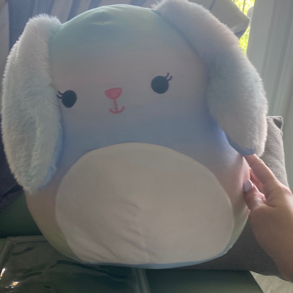 Wu squishmallow